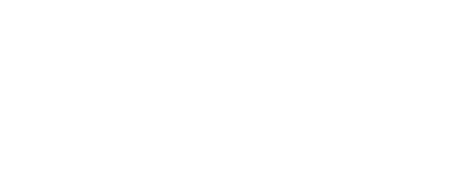 international franchise association logo